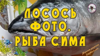 Горбуша охлажденная из дефростированного сырья 1кг