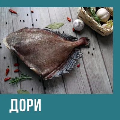 Улов дня! 🐡🐠 прилетели: Скорпена, морской ерш Солнечник, рыба святого  Петра Как всегда, максимально свежая! ☎️ 444-230, 444-174 | Instagram