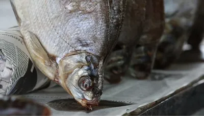 Вяленая сула – одна из вкуснейших рыб, которая отлично подчеркнет любой  сорт пива | Ростовская обл.