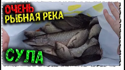 Сула - Страница 14 - Рыболовный форум - Полтавский рыболовный портал!