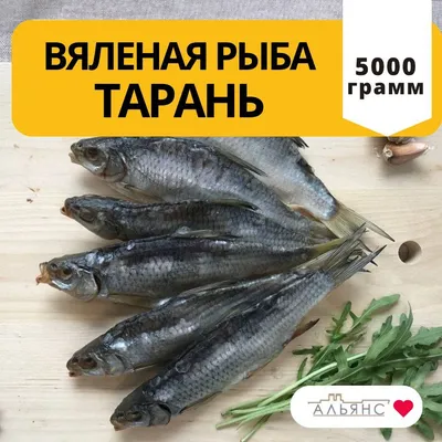 Вяленая тарань - Fishop - магазин рыбы и морепродуктов