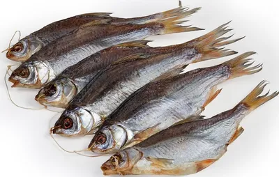 Продам: вяленая рыба оптом (тарань судак и др) в Краснодаре и Краснодарском  крае