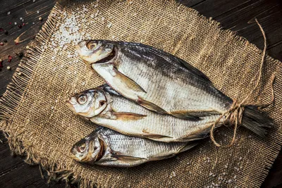 Сорожка, вобла,чебак, плотва вяленая рецепт - сушеная рыба в домашних  условиях или как вялить рыбу!? | KOSHELOT | Дзен