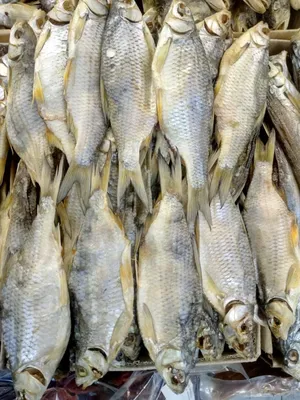 Рыба Тарань вяленая - «Лучший рецепт приготовления рыбы.» | отзывы