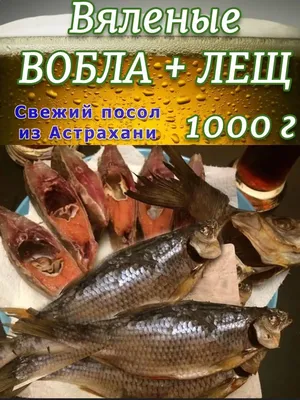 Рыба в реках Астраханской области задыхается и умирает | Газета ВОЛГА