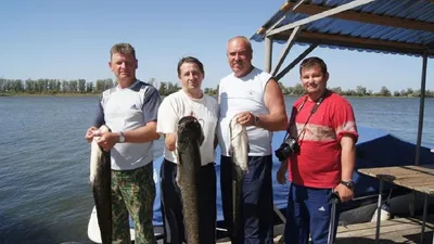 Как разводят осетровых в Астрахани