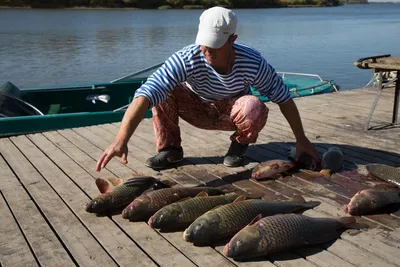 Набор астраханской вяленой рыбы 1,0 кг. в вакуумной упаковке “Каспий” –  Родом из Астрахани