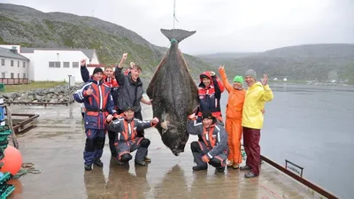 Рыбалка в Норвегии - Tridon Active Excursions