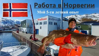Рыбалка в Норвегии.
