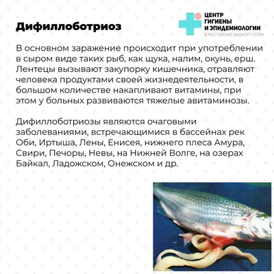 Рыба глядит в Оби – Коммерсантъ Новосибирск