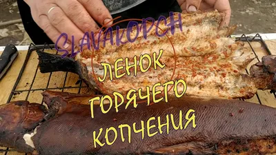 Сазан и Ауха в шарабане.На природе очень простой и вкусный рецепт - YouTube