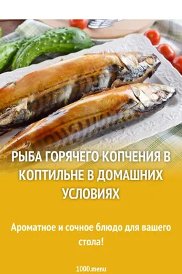 Казахстанская журналистика – это рыба в коптильне | Аналитический  Интернет-портал