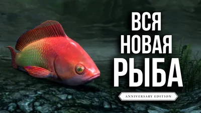 Рыба-вампир » uCrazy.ru - Источник Хорошего Настроения
