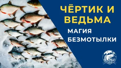 Красивая рыжая ведьма ловит золотую …» — создано в Шедевруме