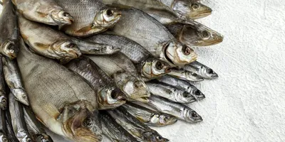 Жирная вяленая рыба - Fishmarket Морские рыбы