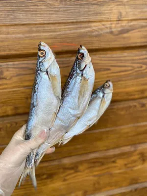 Вяленая рыба • Северная рыба