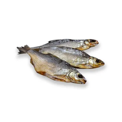 Рыба вяленая ᐈ Купить по выгодной цене в Киеве от Novus