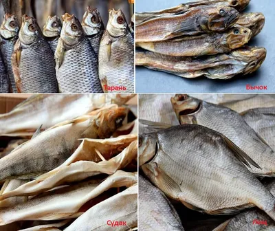 Чем может быть опасна сушёная и вяленая рыба | fish2o | производитель  премиум лосося | Дзен