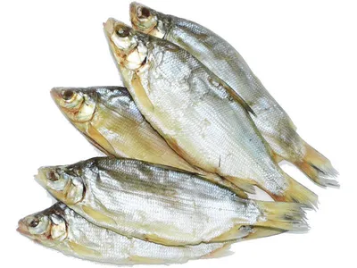 Чем может быть опасна сушёная и вяленая рыба | fish2o | производитель  премиум лосося | Дзен