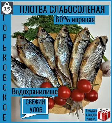 Продам: вяленая рыба, тарань, бычок, чехонь. в Ростове-на-Дону