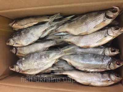 Рыба вяленая Северо-Западная Торговая Компания Краснопёрка \"Таранька\" -  «Бюджетно, вкусно, но есть одно но.» | отзывы