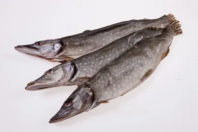 Рыба вяленая, плотва,: продажа, цена в Черкассах. Сушеная рыба от  \"Рыбоперерабатывающий Комбинат\" - 1330823201