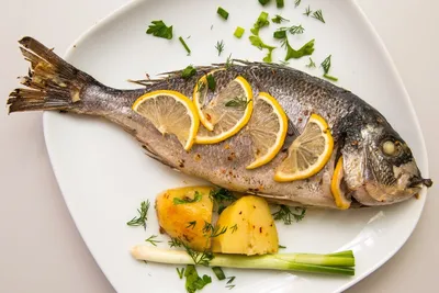 Как приготовить красную рыбу в духовке: пошаговые рецепты с фото