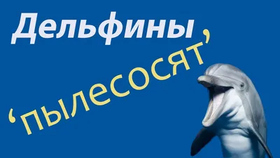 Мой блог. Крым: день Megabass. 27 сентября 2016 г. Рыболовный блог