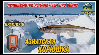 Де Кастри 2020 февраль Корюшка Зубарь. день 1 Тигиль - YouTube