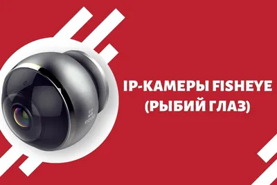 Преимущества и недостатки панорамных fisheye-камер («рыбий глаз») - ЧОО  «Трансблок»