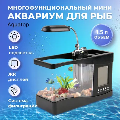 Светящиеся рыбки GloFish | виды, описание, содержание