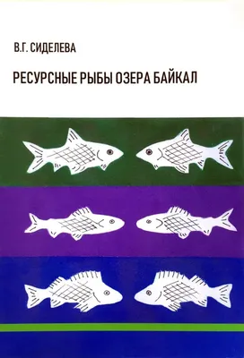 Рыбалка на Байкале. Северная рыба. Чистые реки. » \"Байкал-Вуд\", sevbaikal.ru