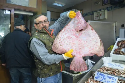 Рыба Черного моря, и с чем её едят - ЯПлакалъ