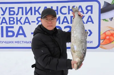 Выставка «Чей берег, того и рыба» во Владивостоке в Приморская  государственная картинная галерея