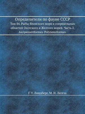 На курортах Испании безобидные морские рыбы покусали 15 туристов | РБК Life