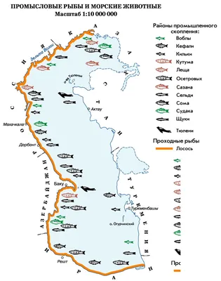 На кого порыбачить в Каспийском море