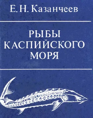 В Атырауской области неподалёку от месторождения Кашаган гибнет рыба