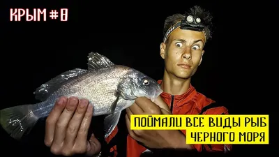 Полцентнера рыбы изъяли у торговцев в столице Крыма