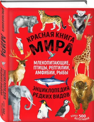 Пазл подводный мир и рыбки - разгадать онлайн из раздела \"Для детей\"  бесплатно