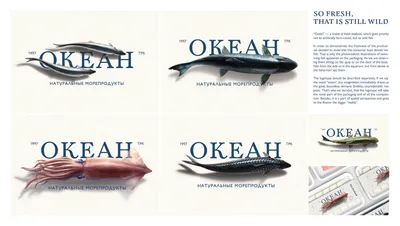 Коллекционная модель животных из Полярного океана, модель рыбы дьявола  Squatina, обучающее пособие 88999 | AliExpress
