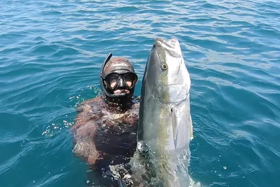 Какая рыба вылавливается в России? Дальний Восток vs. Север | fish2o |  производитель премиум лосося | Дзен