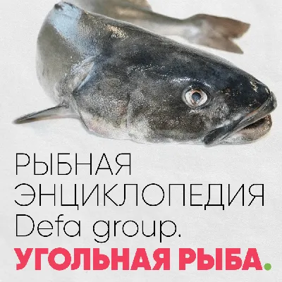 На Колыме запретили ловить рыбу бычка | Вести-Магадан