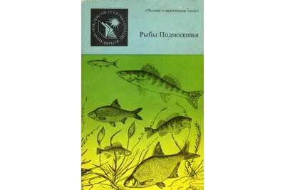 Где и какую рыбу ловят в Подмосковье?
