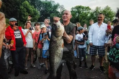 Власти Подмосковья увеличат производство местной рыбы