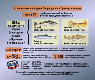 Почти четверть выловленной на Дальнем Востоке рыбы приходится на Приморье  (инфографика) | Бесплатные | ПРОМЫСЕЛ И ПЕРЕРАБОТКА — FishNet.ru