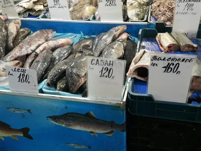 Рыбаки насыщают внутренний рынок Приморского края качественной пресноводной  рыбопродукцией | Федеральное агентство по рыболовству