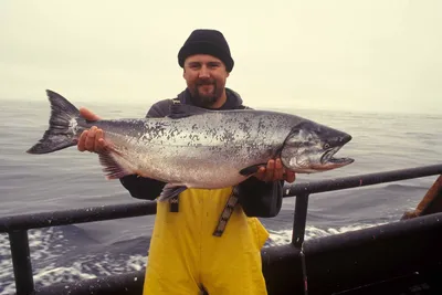 Рыбалка в Приморье 2024—2025: лучшие места, где можно ловить рыбу