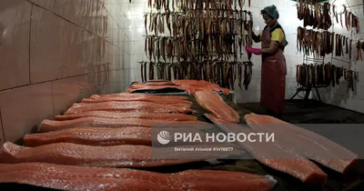 В Приморье назвали основные версии массового выброса рыбы - PrimaMedia.ru