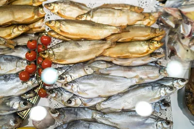 Массовую гибель рыбы в Хабаровском крае могла вызвать инфекция | Дальний  Восток.Октагон.Медиа