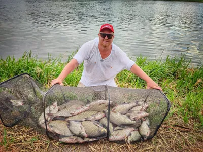 Рыбалка на реке Дон и его краснокнижные обитатели | fishcom.online